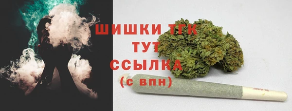 соль ск Осинники