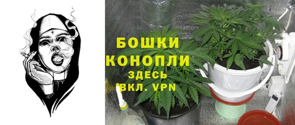 ГАЛЛЮЦИНОГЕННЫЕ ГРИБЫ Остров