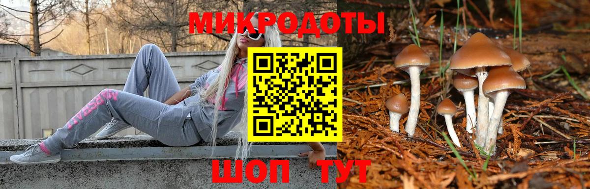 Благодарный  Галлюциногенные грибы MAGIC MUSHROOMS  Псилоцибиновые грибы мухоморы  Вход с VPN 