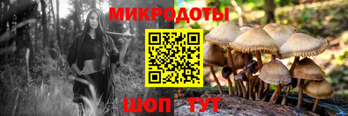 Псилоцибиновые грибы ЛСД Благодарный